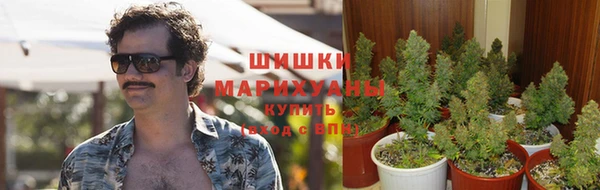 альфа пвп Белокуриха