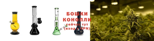 не бодяженный Чистополь