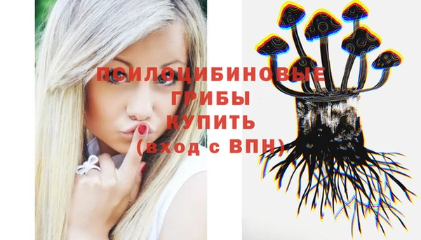 дмт Беломорск