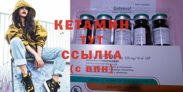 индика Балахна